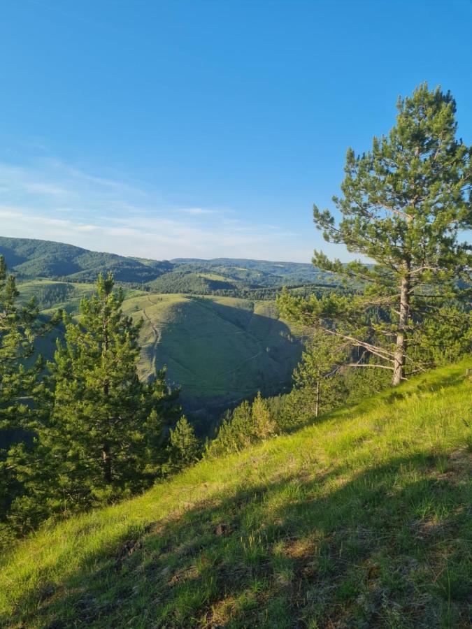 Apartman Juga Kremna Экстерьер фото